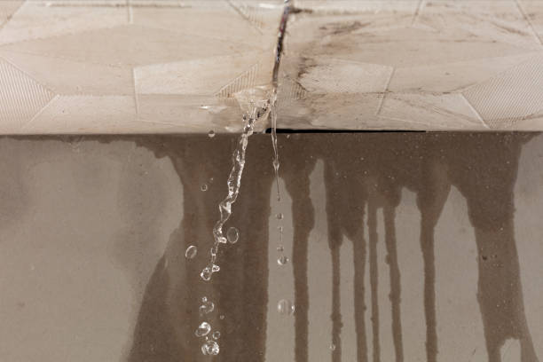 Professional Burst Pipe Cleanup technician working in Demorest, GA